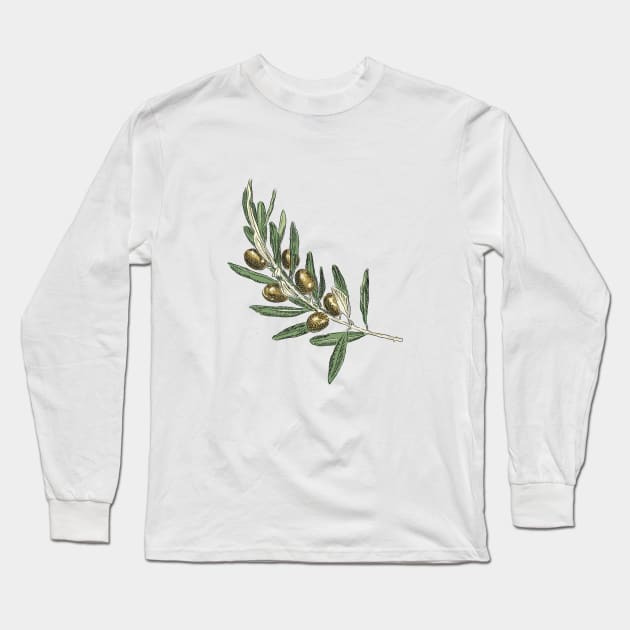 Olive branch Long Sleeve T-Shirt by Slownessi